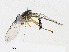  ( - CBG-A23403-A09)  @11 [ ] CreativeCommons - Attribution Share - Alike (2023) CBG Photography Group Centre for Biodiversity Genomics
