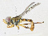  ( - CBG-A23403-A10)  @11 [ ] CreativeCommons - Attribution Share - Alike (2023) CBG Photography Group Centre for Biodiversity Genomics