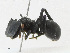  ( - CBG-A23406-A12)  @11 [ ] CreativeCommons - Attribution Share - Alike (2023) CBG Photography Group Centre for Biodiversity Genomics