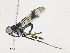  ( - CBG-A23433-E03)  @11 [ ] CreativeCommons - Attribution Share - Alike (2023) CBG Photography Group Centre for Biodiversity Genomics