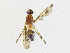 ( - CBG-A24253-A02)  @11 [ ] CreativeCommons - Attribution Share-Alike (2024) CBG Photography Group Centre for Biodiversity Genomics