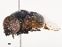  ( - CBG-A27503-E10)  @11 [ ] CreativeCommons - Attribution Share - Alike (2024) CBG Photography Group Centre for Biodiversity Genomics