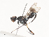  ( - CBG-A41864-C02)  @11 [ ] CreativeCommons - Attribution Share - Alike (2024) CBG Photography Group Centre for Biodiversity Genomics