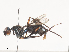  ( - CBG-A41864-D03)  @11 [ ] CreativeCommons - Attribution Share - Alike (2024) CBG Photography Group Centre for Biodiversity Genomics