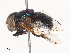  ( - CBG-A41919-F04)  @11 [ ] CreativeCommons - Attribution Share - Alike (2024) CBG Photography Group Centre for Biodiversity Genomics