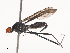  ( - CBG-A44398-E09)  @11 [ ] CreativeCommons - Attribution Share - Alike (2024) CBG Photography Group Centre for Biodiversity Genomics