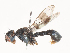  ( - CBG-A45195-E10)  @11 [ ] CreativeCommons - Attribution Share - Alike (2024) CBG Photography Group Centre for Biodiversity Genomics