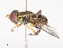 ( - CBG-A45227-A12)  @11 [ ] CreativeCommons - Attribution Share - Alike (2024) CBG Photography Group Centre for Biodiversity Genomics