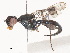  ( - CBG-A46925-D07)  @11 [ ] CreativeCommons - Attribution Share - Alike (2024) CBG Photography Group Centre for Biodiversity Genomics