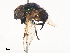  ( - CBG-A46930-C08)  @11 [ ] CreativeCommons - Attribution Share - Alike (2024) CBG Photography Group Centre for Biodiversity Genomics