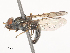  ( - CBG-A48610-C06)  @11 [ ] CreativeCommons - Attribution Share - Alike (2024) CBG Photography Group Centre for Biodiversity Genomics