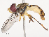  ( - CBG-A51055-A12)  @11 [ ] CreativeCommons - Attribution Share - Alike (2024) CBG Photography Group Centre for Biodiversity Genomics