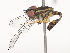  ( - CBG-A51076-G10)  @11 [ ] CreativeCommons - Attribution Share - Alike (2024) CBG Photography Group Centre for Biodiversity Genomics