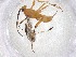  ( - CBG-A51446-A01)  @11 [ ] CreativeCommons - Attribution Share - Alike (2024) Centre for Biodiversity Genomics Centre for Biodiversity Genomics