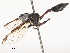  ( - CBG-A51885-D03)  @11 [ ] CreativeCommons - Attribution Share - Alike (2024) CBG Photography Group Centre for Biodiversity Genomics
