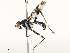  ( - CBG-A59541-E10)  @11 [ ] CreativeCommons - Attribution Share - Alike (2025) CBG Photography Group Centre for Biodiversity Genomics