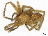  ( - CBG-A59541-G10)  @11 [ ] CreativeCommons - Attribution (2024) CBG Photography Group Centre for Biodiversity Genomics