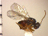  ( - Pare 11)  @13 [ ] No Rights Reserved  Unspecified Unspecified