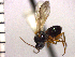  ( - Ppir-Dbi 1)  @11 [ ] No Rights Reserved  Unspecified Unspecified