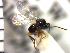  ( - Ppic-Dpo 3)  @11 [ ] No Rights Reserved  Unspecified Unspecified