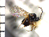  ( - Ppic-Dpo 4)  @11 [ ] No Rights Reserved  Unspecified Unspecified