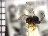  ( - Ppic-Dpo 7)  @11 [ ] No Rights Reserved  Unspecified Unspecified