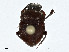  ( - CBG-A00378-F03)  @11 [ ] CreativeCommons - Attribution (2023) CBG Photography Group Centre for Biodiversity Genomics