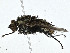  ( - CBG-A00380-H06)  @11 [ ] CreativeCommons - Attribution (2023) CBG Photography Group Centre for Biodiversity Genomics