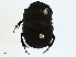  ( - CBG-A00382-A03)  @11 [ ] CreativeCommons - Attribution (2023) CBG Photography Group Centre for Biodiversity Genomics