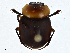  ( - CBG-A00382-A04)  @11 [ ] CreativeCommons - Attribution (2023) CBG Photography Group Centre for Biodiversity Genomics