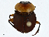  ( - CBG-A00382-A05)  @11 [ ] CreativeCommons - Attribution (2023) CBG Photography Group Centre for Biodiversity Genomics