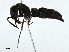  ( - CBG-A01207-H08)  @11 [ ] CreativeCommons - Attribution (2023) CBG Photography Group Centre for Biodiversity Genomics