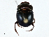  ( - CBG-A01223-H05)  @11 [ ] CreativeCommons - Attribution (2023) CBG Photography Group Centre for Biodiversity Genomics