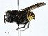  ( - CBG-A01224-C06)  @11 [ ] CreativeCommons - Attribution (2023) CBG Photography Group Centre for Biodiversity Genomics