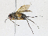  ( - CBG-A21647-C04)  @11 [ ] CreativeCommons - Attribution Share-Alike (2023) CBG Photography Group Centre for Biodiversity Genomics