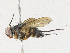  ( - CBG-A21647-G04)  @11 [ ] CreativeCommons - Attribution Share-Alike (2023) CBG Photography Group Centre for Biodiversity Genomics