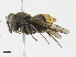  ( - CBG-A21740-C08)  @11 [ ] CreativeCommons - Attribution Share-Alike (2023) CBG Photography Group Centre for Biodiversity Genomics