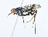  ( - CBG-A21743-H02)  @11 [ ] CreativeCommons - Attribution Share-Alike (2023) CBG Photography Group Centre for Biodiversity Genomics
