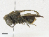  ( - CBG-A21757-C10)  @11 [ ] CreativeCommons - Attribution Share-Alike (2023) CBG Photography Group Centre for Biodiversity Genomics