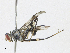  ( - CBG-A23289-A07)  @11 [ ] CreativeCommons - Attribution Share-Alike (2023) CBG Photography Group Centre for Biodiversity Genomics