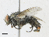  ( - CBG-A23289-A11)  @11 [ ] CreativeCommons - Attribution Share-Alike (2023) CBG Photography Group Centre for Biodiversity Genomics