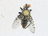  ( - CBG-A23289-B03)  @11 [ ] CreativeCommons - Attribution Share-Alike (2023) CBG Photography Group Centre for Biodiversity Genomics