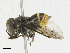  ( - CBG-A23289-F04)  @11 [ ] CreativeCommons - Attribution Share-Alike (2023) CBG Photography Group Centre for Biodiversity Genomics