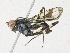  ( - CBG-A23292-G08)  @11 [ ] CreativeCommons - Attribution Share-Alike (2023) CBG Photography Group Centre for Biodiversity Genomics