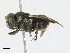  ( - CBG-A23338-B03)  @11 [ ] CreativeCommons - Attribution Share-Alike (2023) CBG Photography Group Centre for Biodiversity Genomics