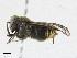  ( - CBG-A23339-C07)  @11 [ ] CreativeCommons - Attribution Share-Alike (2023) CBG Photography Group Centre for Biodiversity Genomics