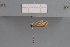 ( - PF22125)  @11 [ ] CreativeCommons Attribution Non-Commercial Share-Alike (2023) Brigitte Gottsberger University of Vienna Department of Botany and Biodiversity