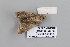  ( - PF22127)  @11 [ ] CreativeCommons Attribution Non-Commercial Share-Alike (2023) Brigitte Gottsberger University of Vienna Department of Botany and Biodiversity