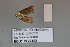  ( - PF22152)  @11 [ ] by-nc-sa (2024) Brigitte Gottsberger University of Vienna, Department of Botany and Biodiversity Research