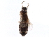  ( - CCDB-24288-G11)  @11 [ ] CreativeCommons - Attribution (2015) CBG Photography Group Centre for Biodiversity Genomics